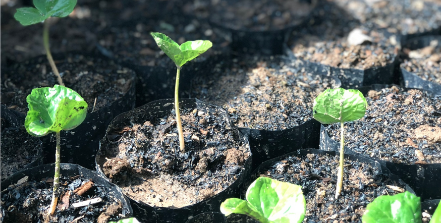 お盆休みのご案内