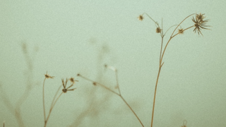 年末年始の営業、商品の発送に関するお知らせ