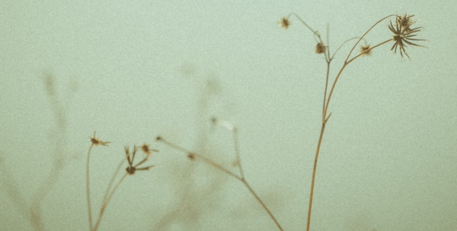 年末年始の営業、商品の発送に関するお知らせ